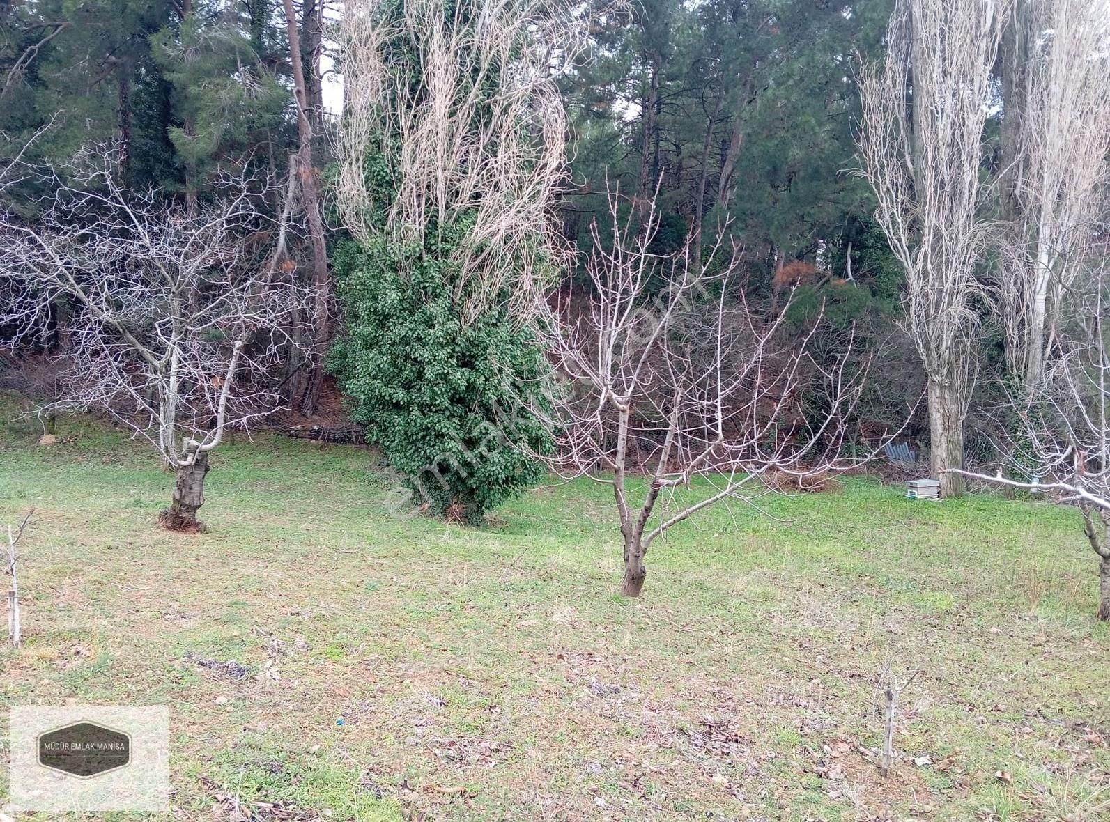 Turgutalp Mah. Sultan Yaylası'nda Panoramik Manisa Manzaralı - Görsel 4