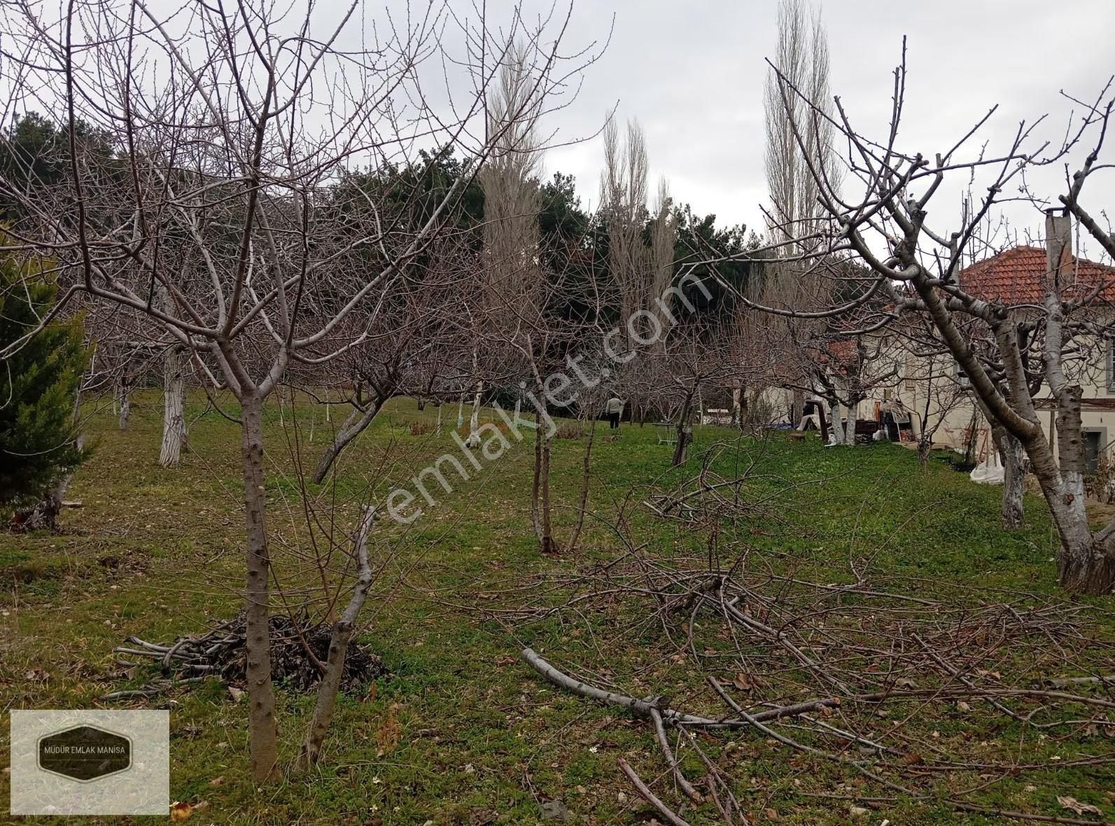 Turgutalp Mah. Sultan Yaylası'nda Panoramik Manisa Manzaralı - Görsel 20