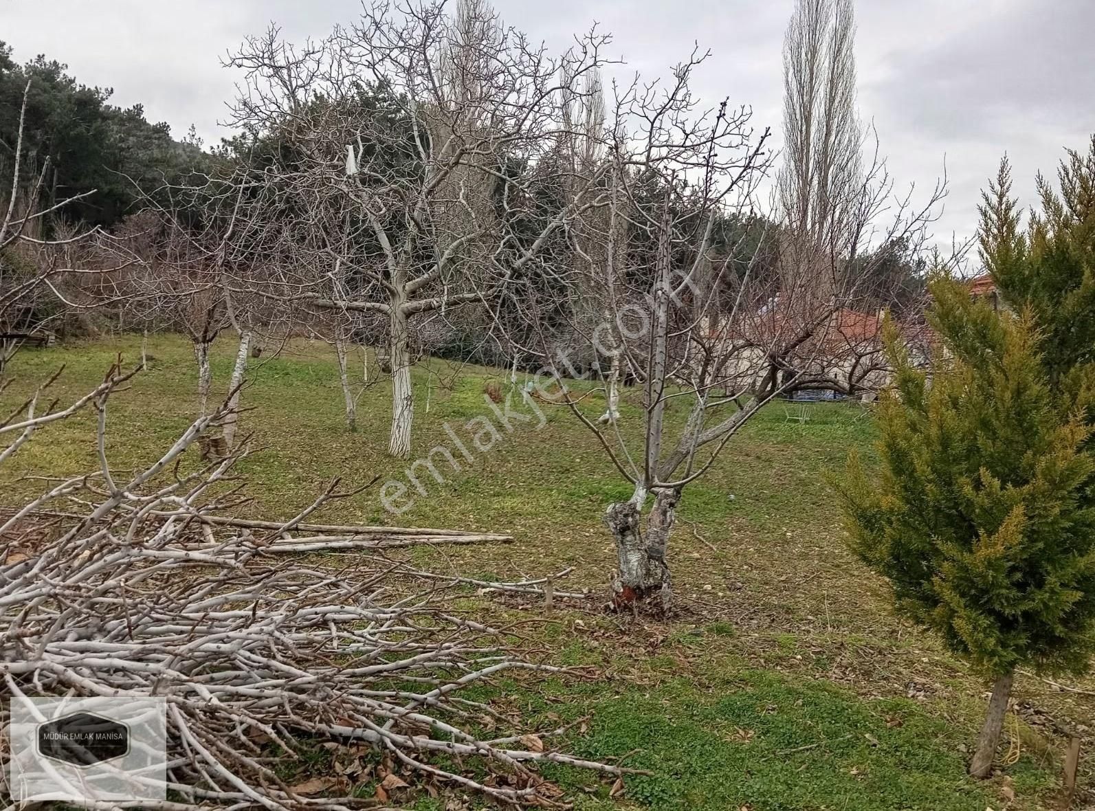 Turgutalp Mah. Sultan Yaylası'nda Panoramik Manisa Manzaralı - Görsel 9
