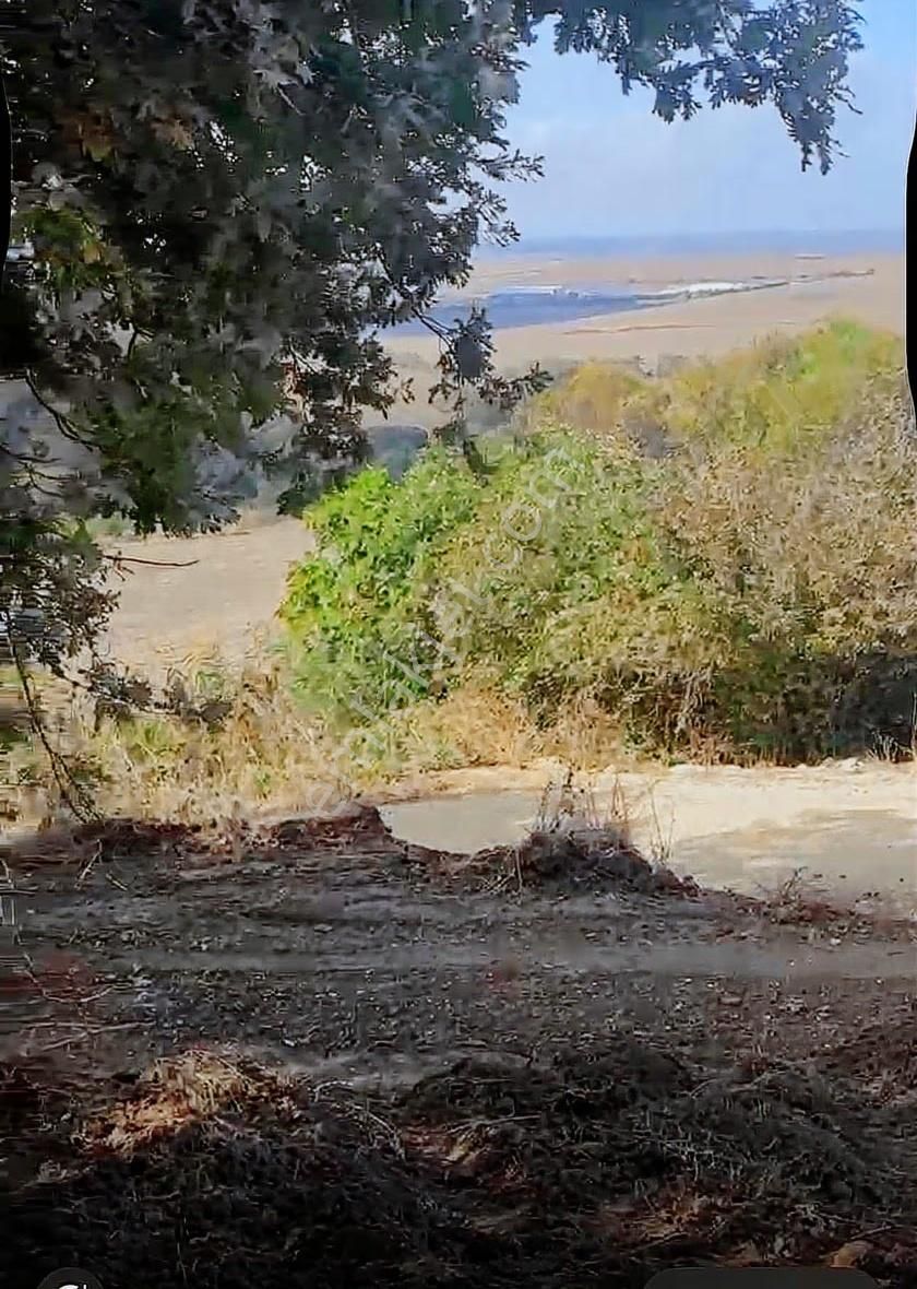 Müstakil Tek Tapu Hisseli Fiyatına - Görsel 2