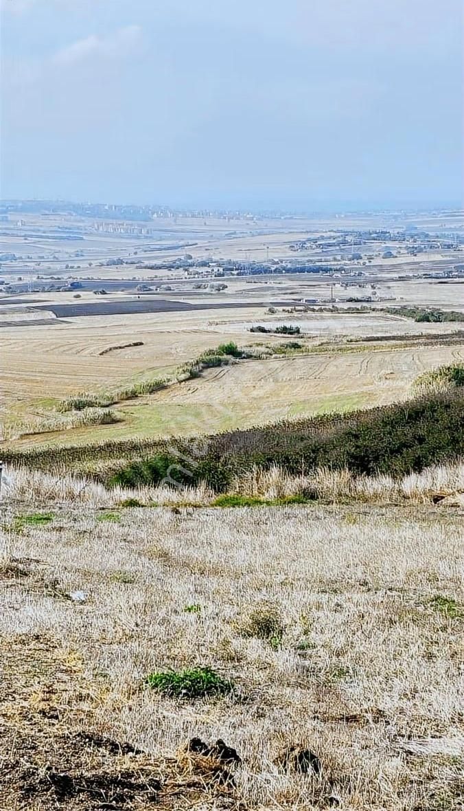 Deniz Manzaralı Piyasa Ve Bölge Fiyatının Yarı Fiyatına