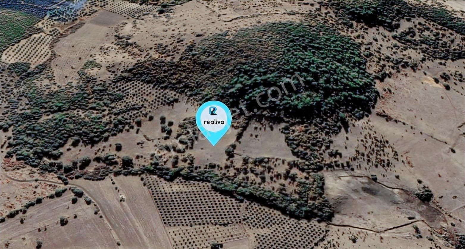 Realiva'dan Bergama Koyunelinde Satılık Tarla - Görsel 3