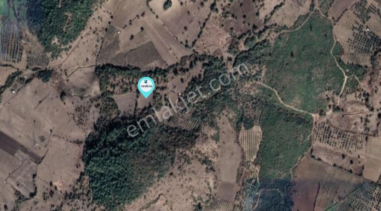 Realiva'dan Bergama Koyunelinde Satılık Tarla - Görsel 5