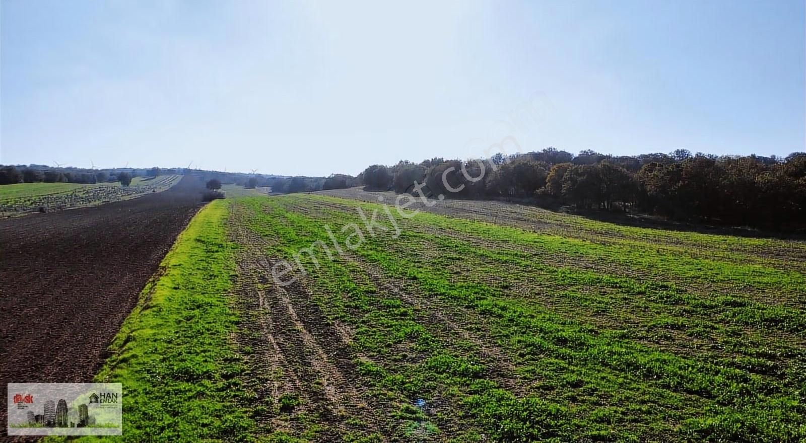 Ezine Mahmudiye'de Kelepir 11800m2 Tarla Han Emlak Otomotiv'den - Görsel 6