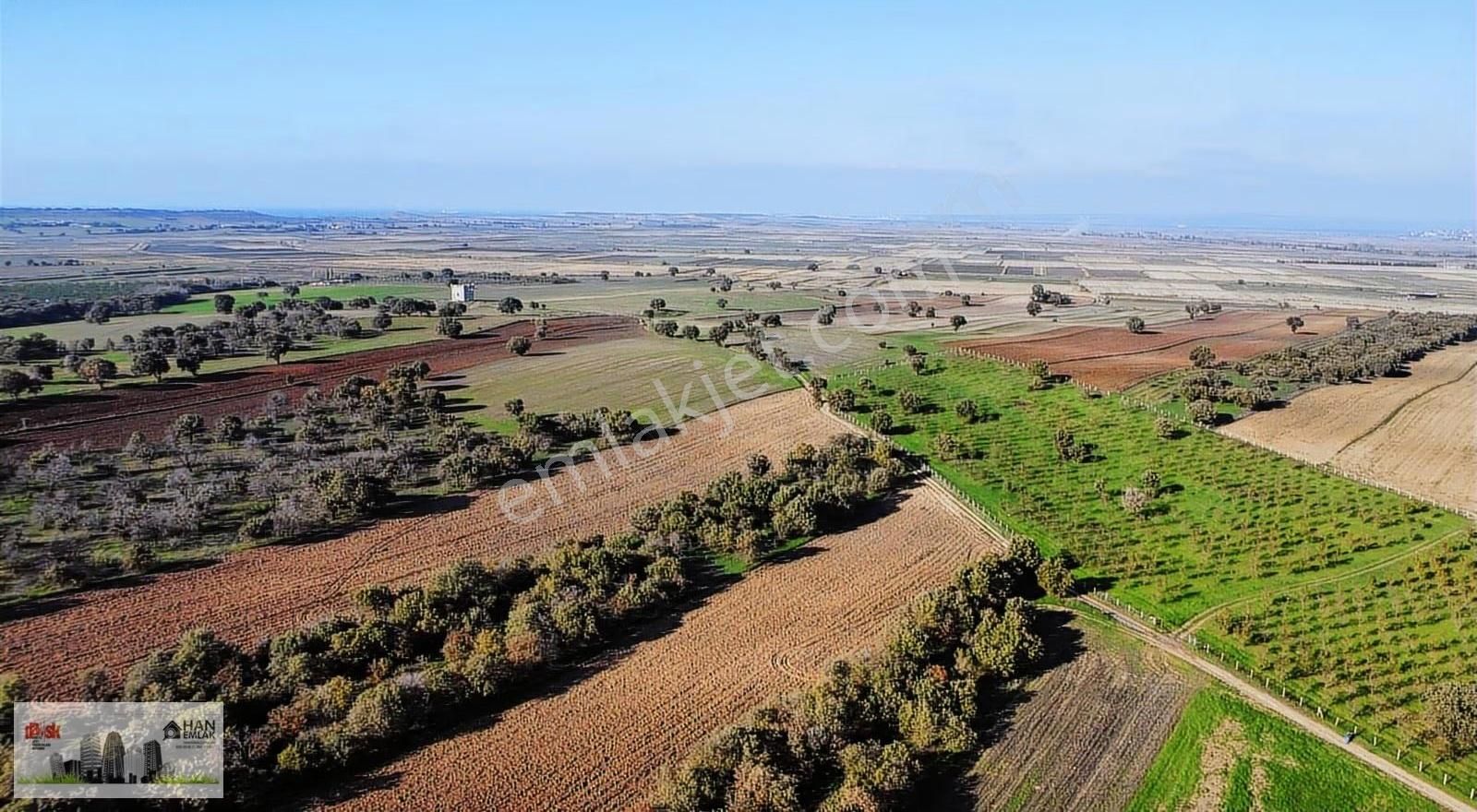 Ezine Mahmudiye'de Kelepir 11800m2 Tarla Han Emlak Otomotiv'den - Görsel 14