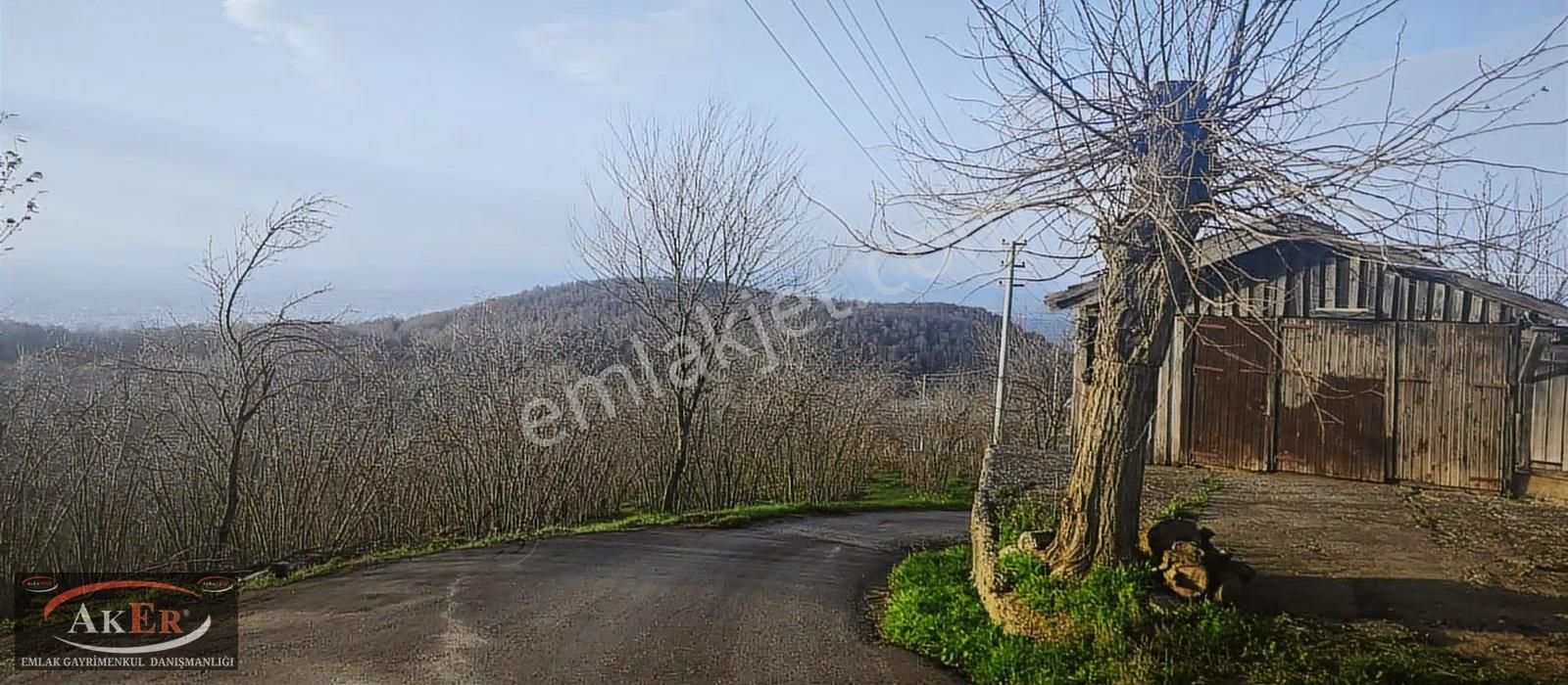 Mesire Alanına Yakın Evsane Manzara Evsane Konum Müstakil Tapu - Görsel 13