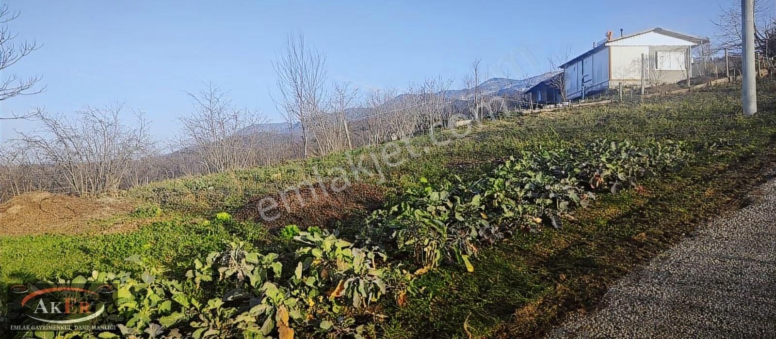 Evsane Manzara Evsane Konum Mesire Alanına Yakın Konumda Ev Yap - Görsel 16