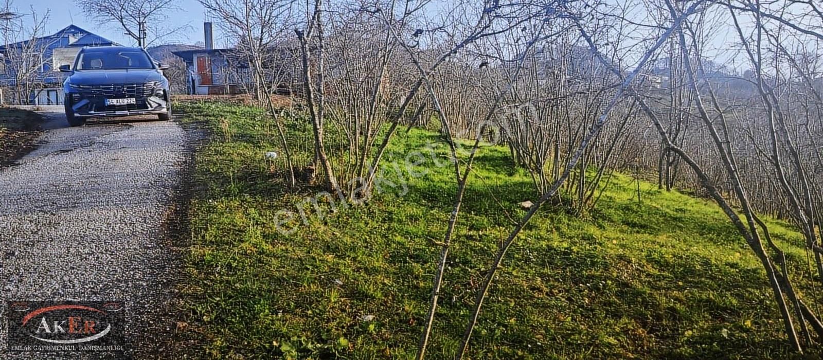 Evsane Manzara Evsane Konum Mesire Alanına Yakın Konumda Ev Yap - Görsel 23