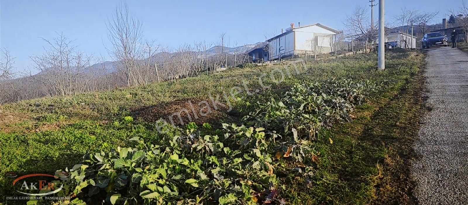 Evsane Manzara Evsane Konum Mesire Alanına Yakın Konumda Ev Yap - Görsel 6