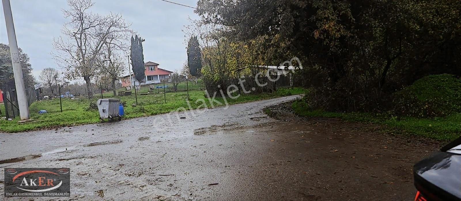 5.255 Metrekare Müstakil Tapu Yol Su Elektrik Önünde Ful Fındık - Görsel 4