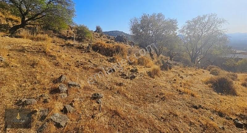 Sancak'tan Burhaniye Dutluca Da Deniz Manzaralı Satılık Bahçe - Görsel 5