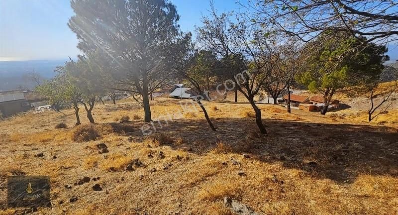 Sancak'tan Burhaniye Dutluca Da Deniz Manzaralı Satılık Bahçe - Görsel 4