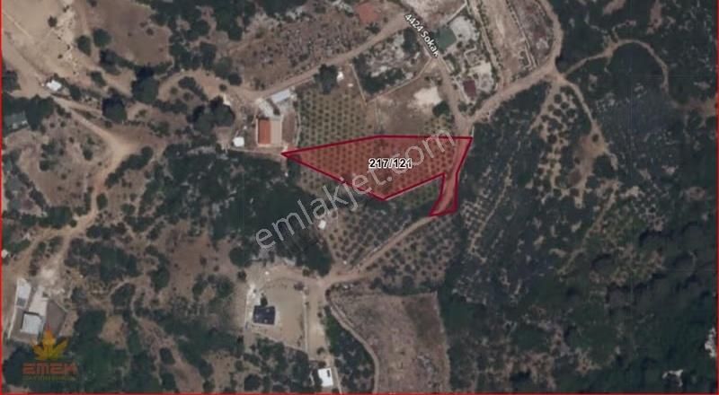 Konyaaltı Çağlarcada Deniz Manzaralı Arazi - Görsel 5