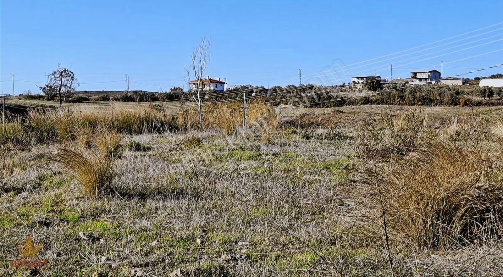 Manavgat Kalemlerde Deniz Manzaral Arazi - Görsel 10