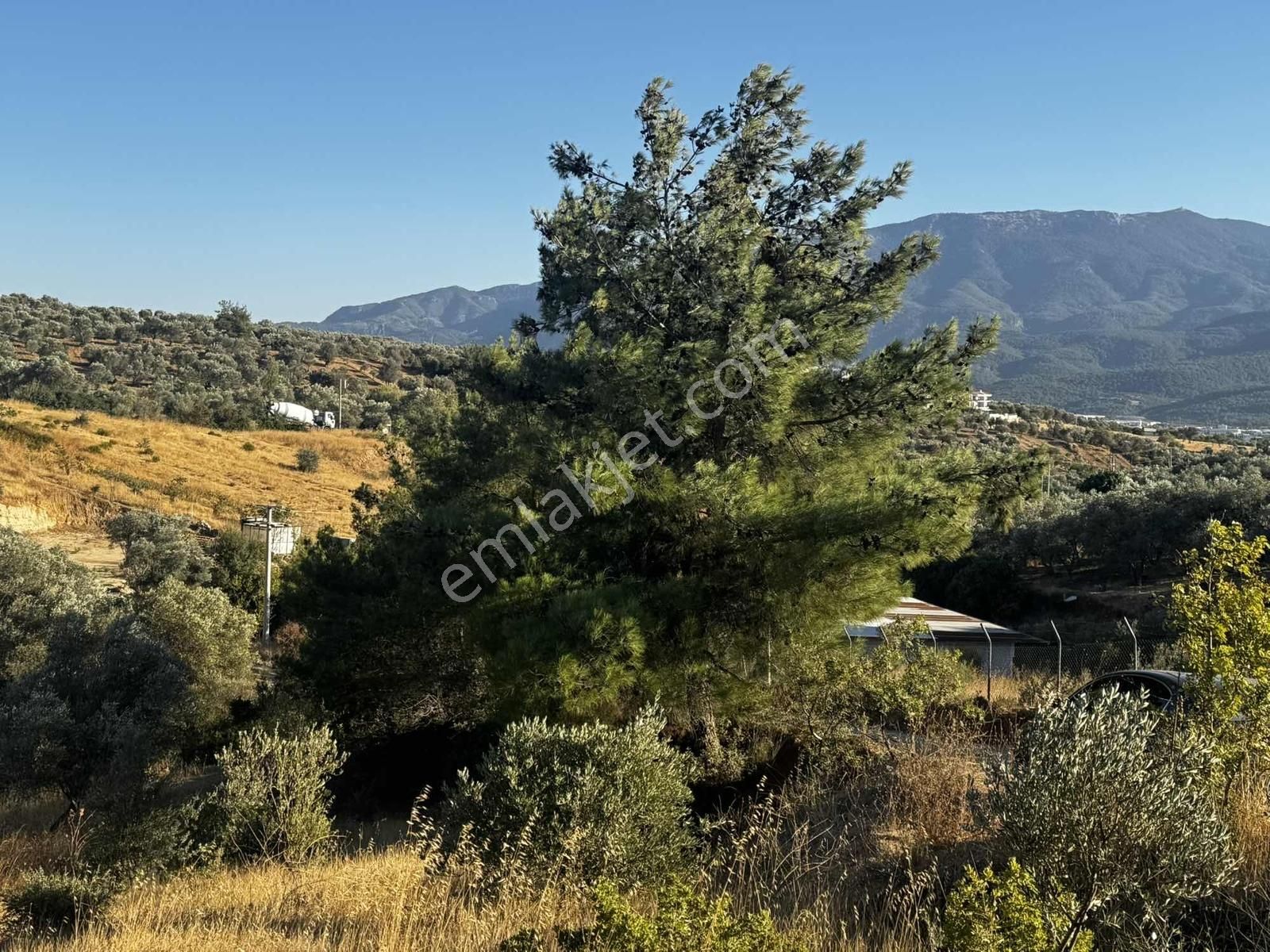 Kemalpaşa Damlacık Mahallesinde Yola Cepheli Satılık 1875m2 Arsa - Görsel 20