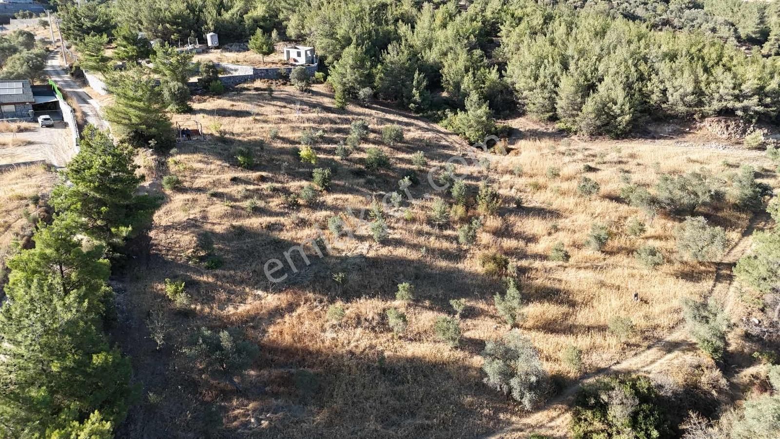 Kemalpaşa Damlacık Mahallesinde Yola Cepheli Satılık 1875m2 Arsa - Görsel 32