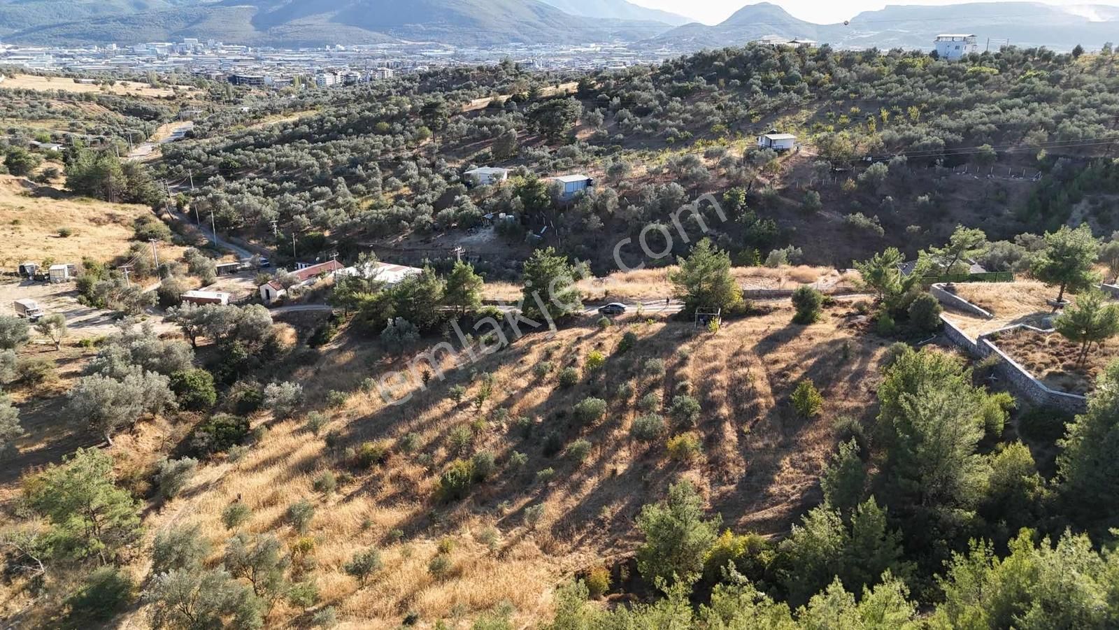 Kemalpaşa Damlacık Mahallesinde Yola Cepheli Satılık 1875m2 Arsa - Görsel 6