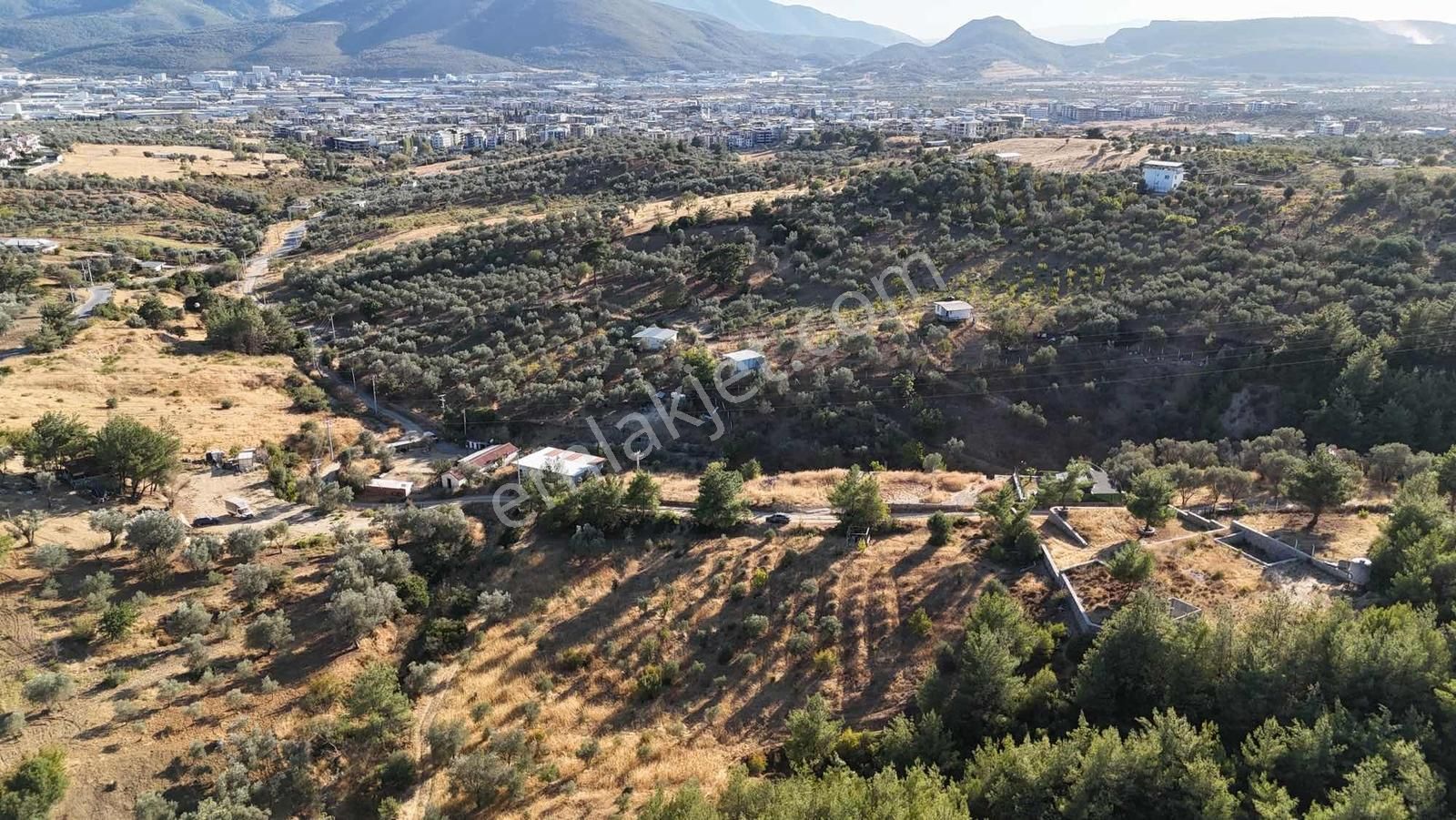 Kemalpaşa Damlacık Mahallesinde Yola Cepheli Satılık 1875m2 Arsa - Görsel 31
