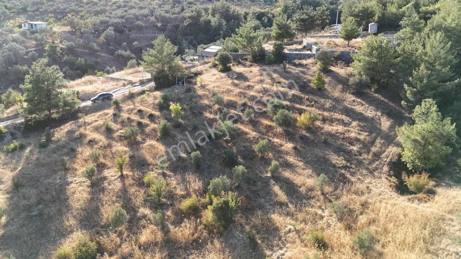 Kemalpaşa Damlacık Mahallesinde Yola Cepheli Satılık 1875m2 Arsa - Görsel 5