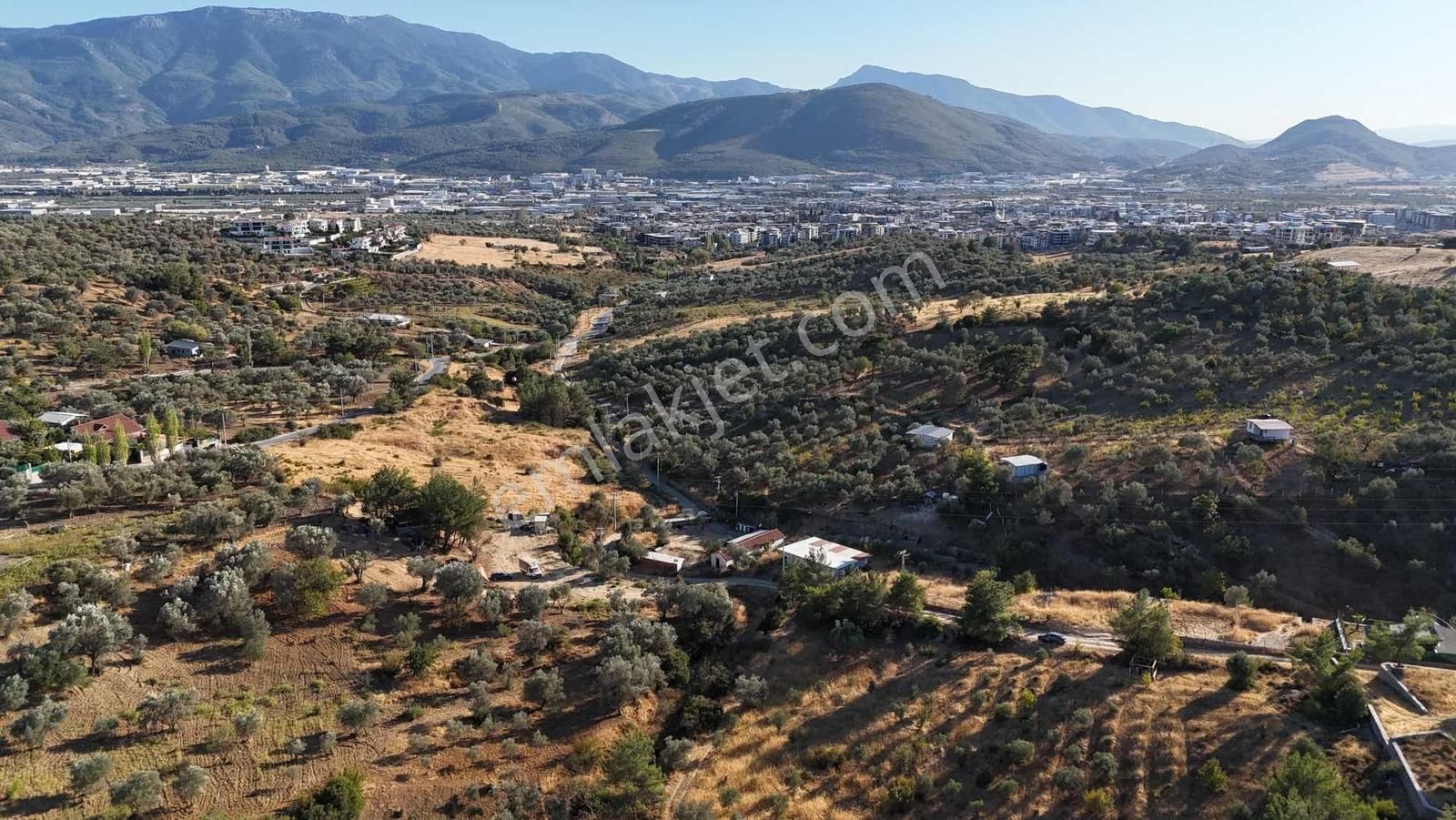 Kemalpaşa Damlacık Mahallesinde Yola Cepheli Satılık 1875m2 Arsa - Görsel 2
