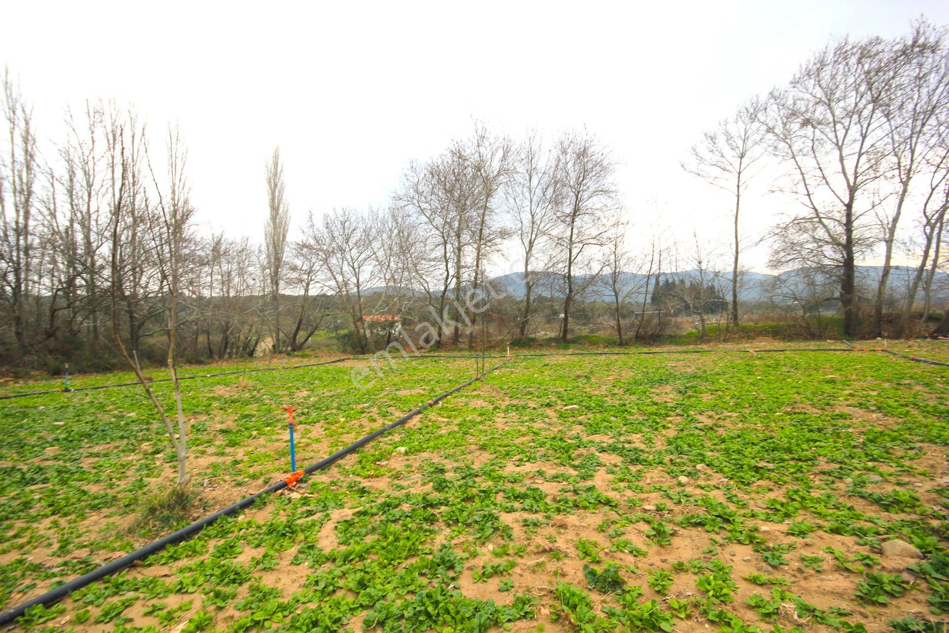 🟥tek Yetkili Aktiften 6800 M2 Kadastrol Yolu Olan Satılık Bahçe - Görsel 14