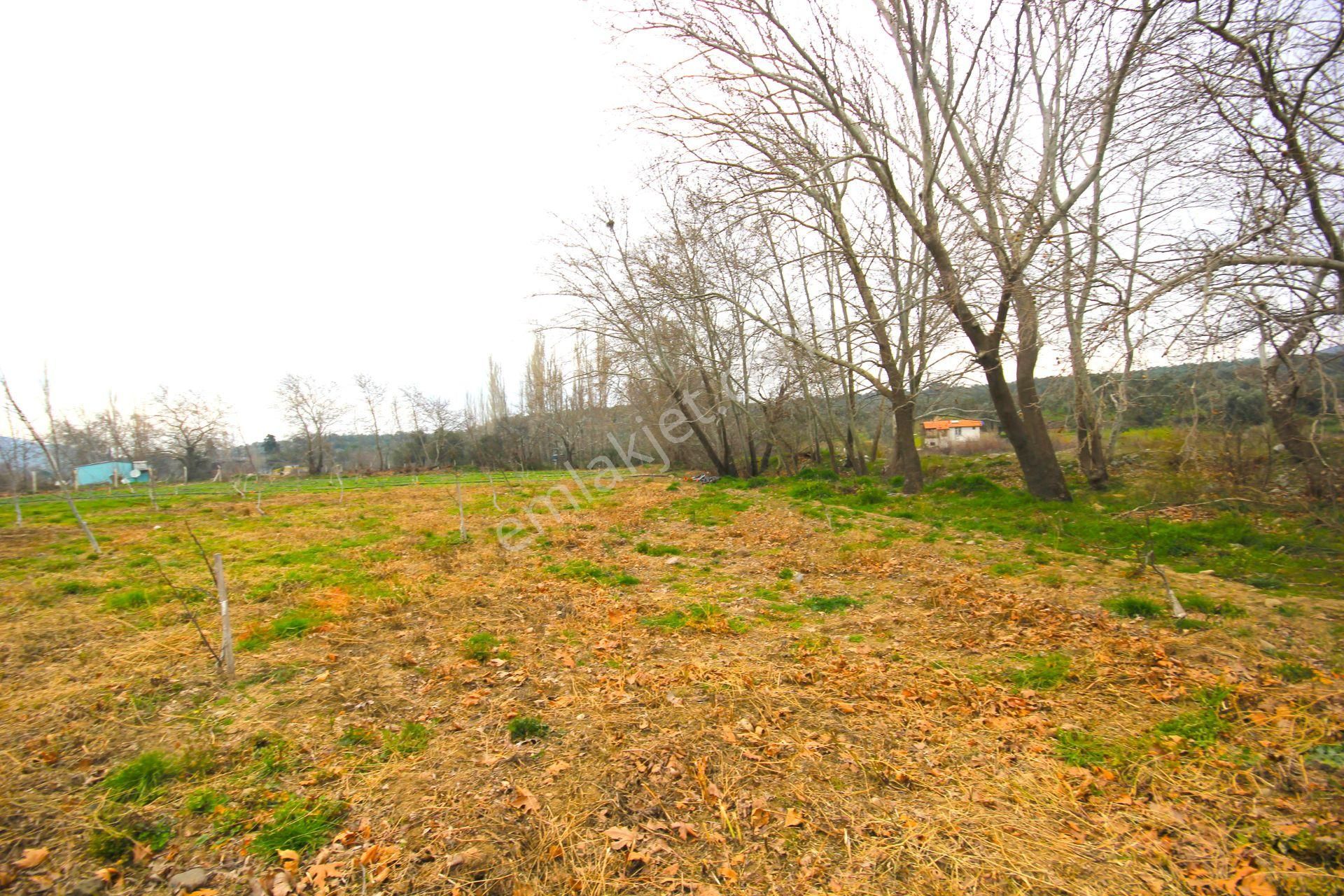 🟥tek Yetkili Aktiften 6800 M2 Kadastrol Yolu Olan Satılık Bahçe - Görsel 7