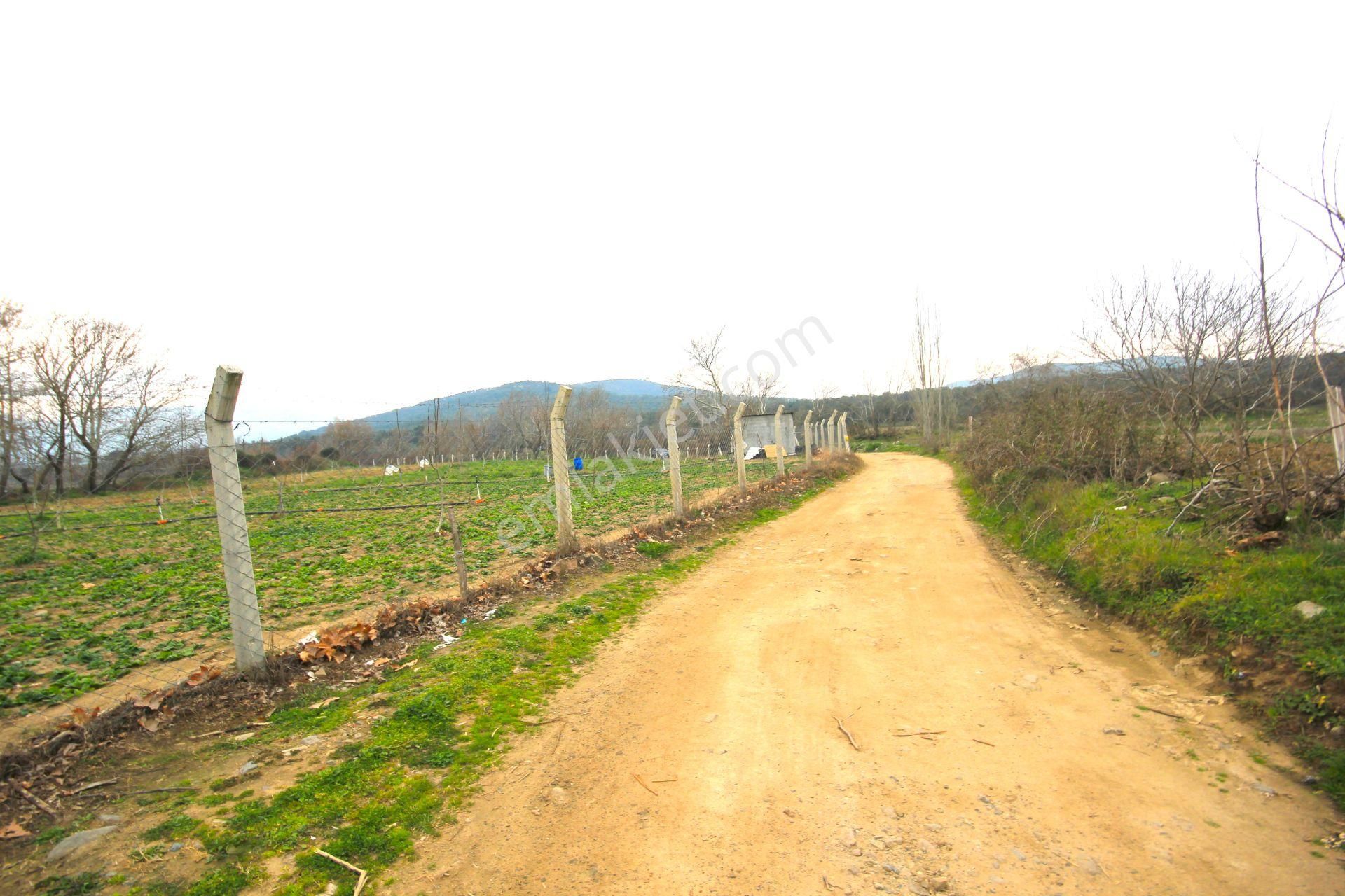 🟥tek Yetkili Aktiften 6800 M2 Kadastrol Yolu Olan Satılık Bahçe - Görsel 20