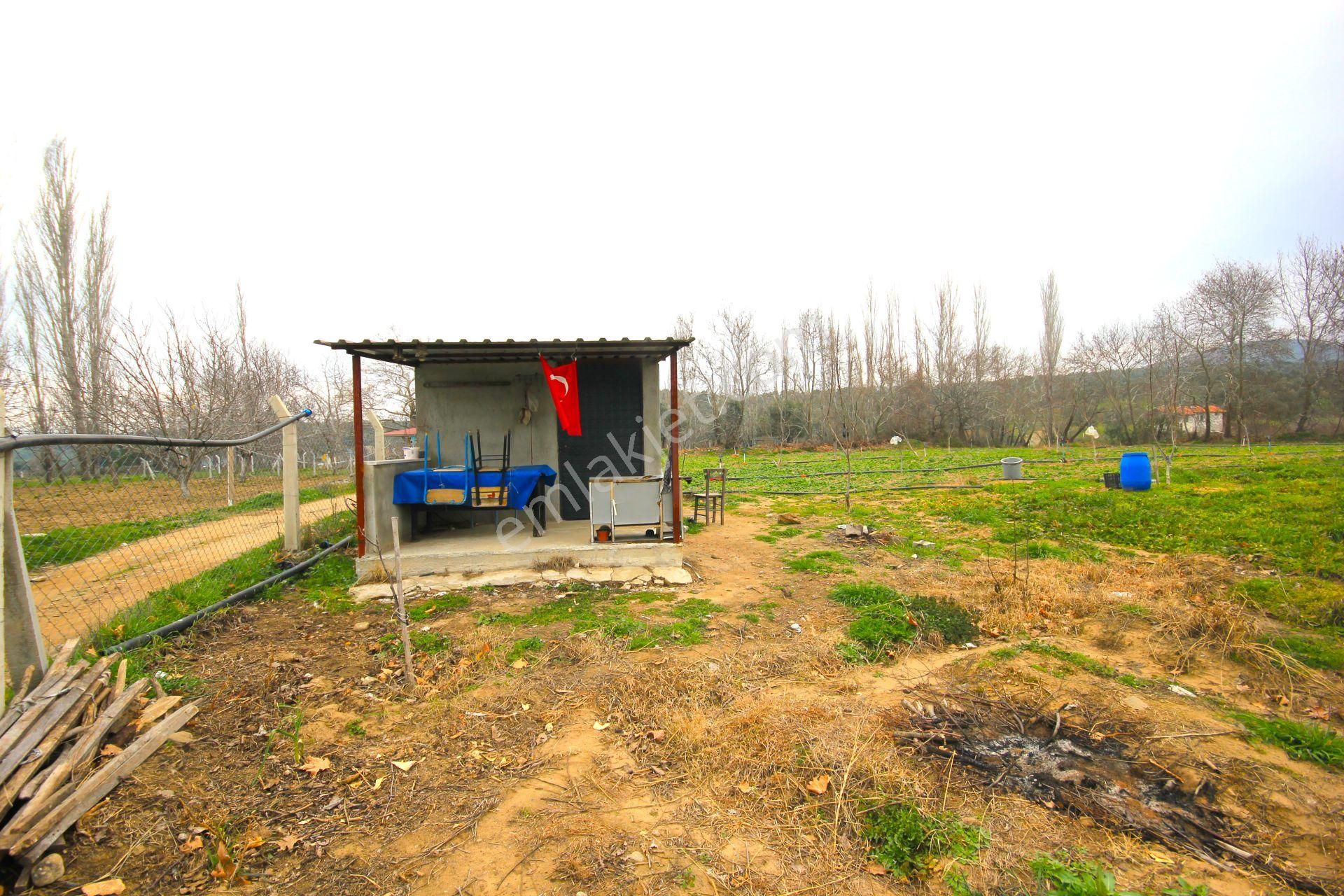 🟥tek Yetkili Aktiften 6800 M2 Kadastrol Yolu Olan Satılık Bahçe - Görsel 15