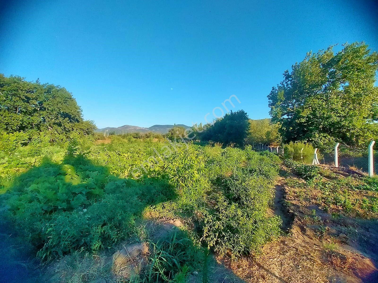 🟥tek Yetkili Aktiften 6800 M2 Kadastrol Yolu Olan Satılık Bahçe - Görsel 35