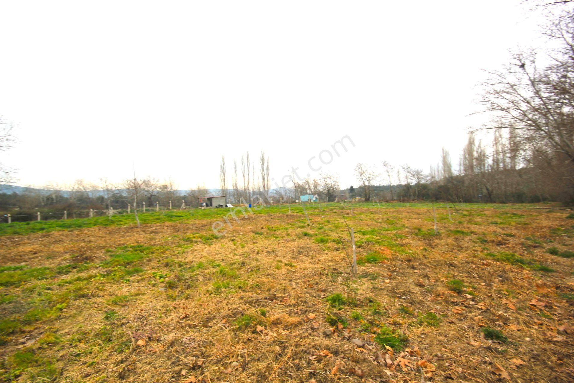 🟥tek Yetkili Aktiften 6800 M2 Kadastrol Yolu Olan Satılık Bahçe - Görsel 8