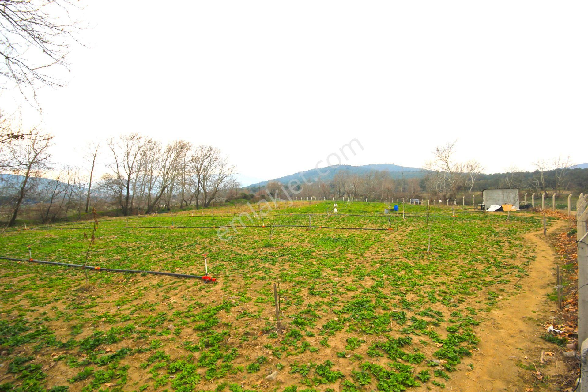 🟥tek Yetkili Aktiften 6800 M2 Kadastrol Yolu Olan Satılık Bahçe - Görsel 19