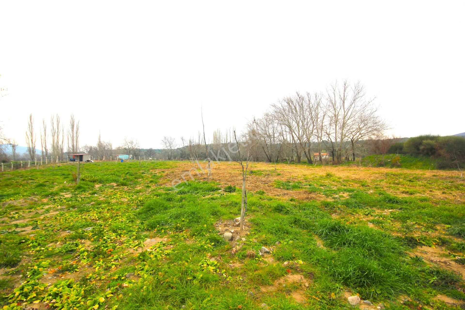 🟥tek Yetkili Aktiften 6800 M2 Kadastrol Yolu Olan Satılık Bahçe - Görsel 3