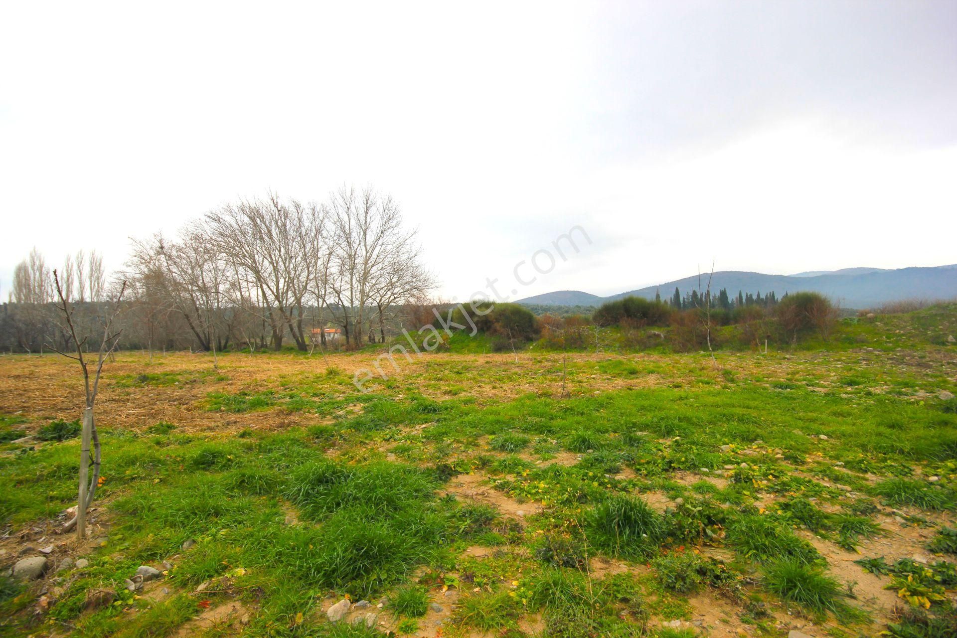 🟥tek Yetkili Aktiften 6800 M2 Kadastrol Yolu Olan Satılık Bahçe - Görsel 4