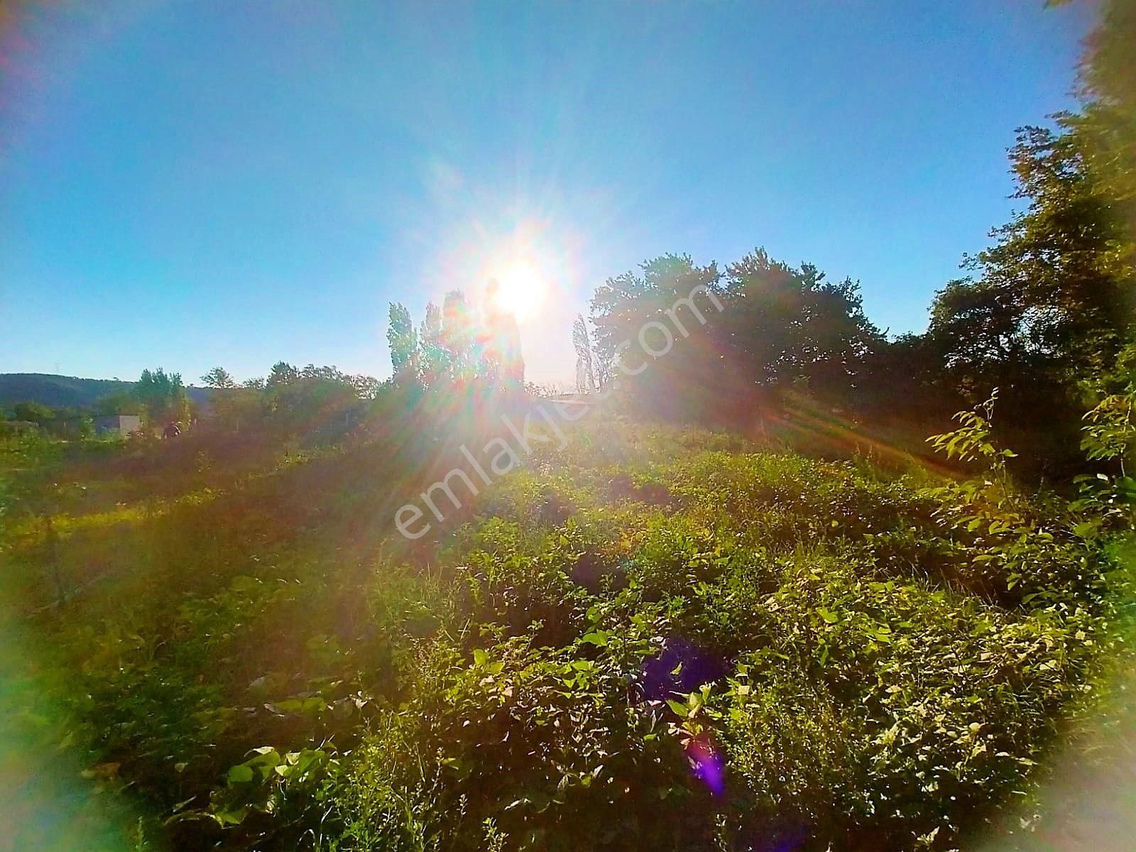 🟥tek Yetkili Aktiften 6800 M2 Kadastrol Yolu Olan Satılık Bahçe - Görsel 28