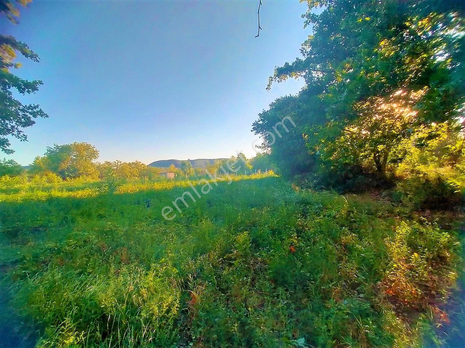 🟥tek Yetkili Aktiften 6800 M2 Kadastrol Yolu Olan Satılık Bahçe - Görsel 29