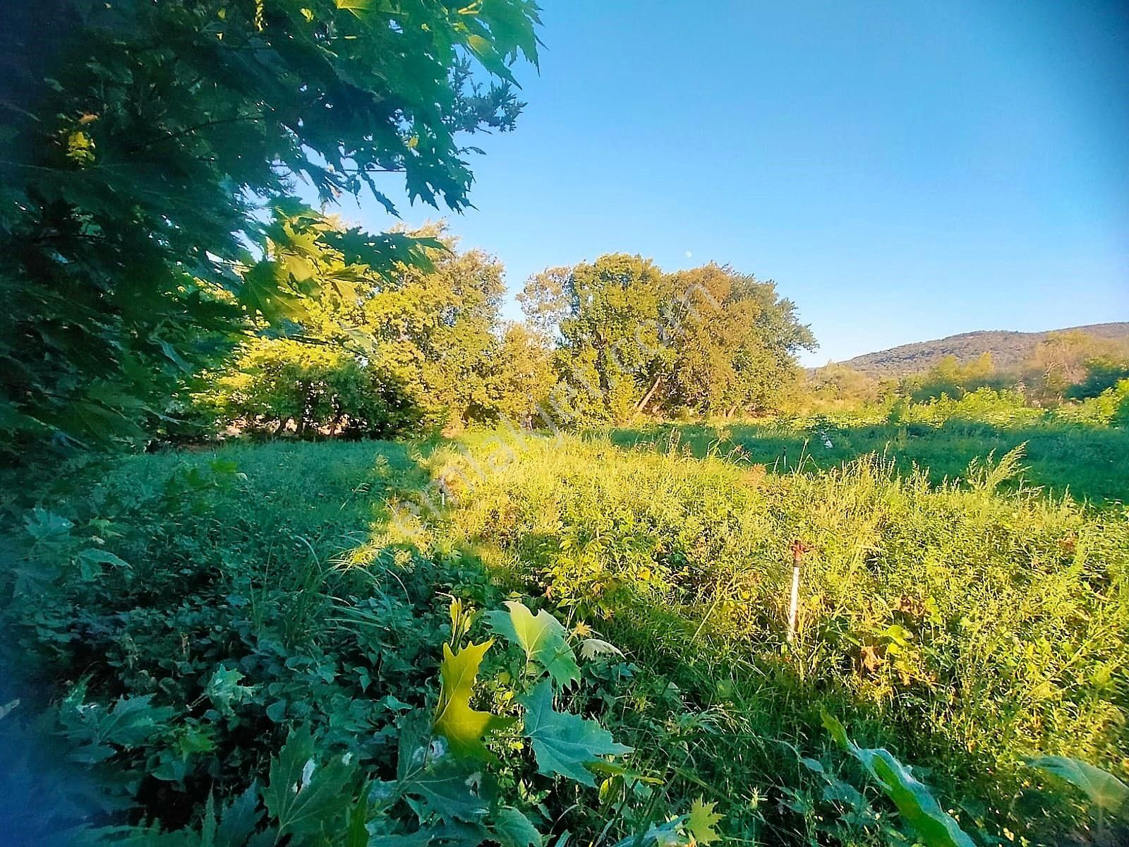 🟥tek Yetkili Aktiften 6800 M2 Kadastrol Yolu Olan Satılık Bahçe - Görsel 24