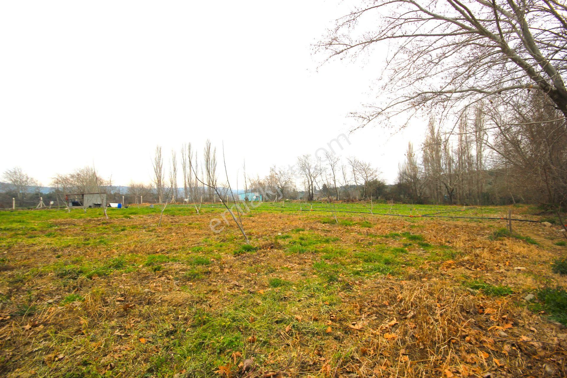 🟥tek Yetkili Aktiften 6800 M2 Kadastrol Yolu Olan Satılık Bahçe - Görsel 10