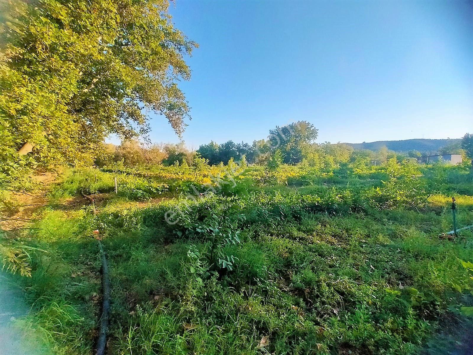 🟥tek Yetkili Aktiften 6800 M2 Kadastrol Yolu Olan Satılık Bahçe - Görsel 27