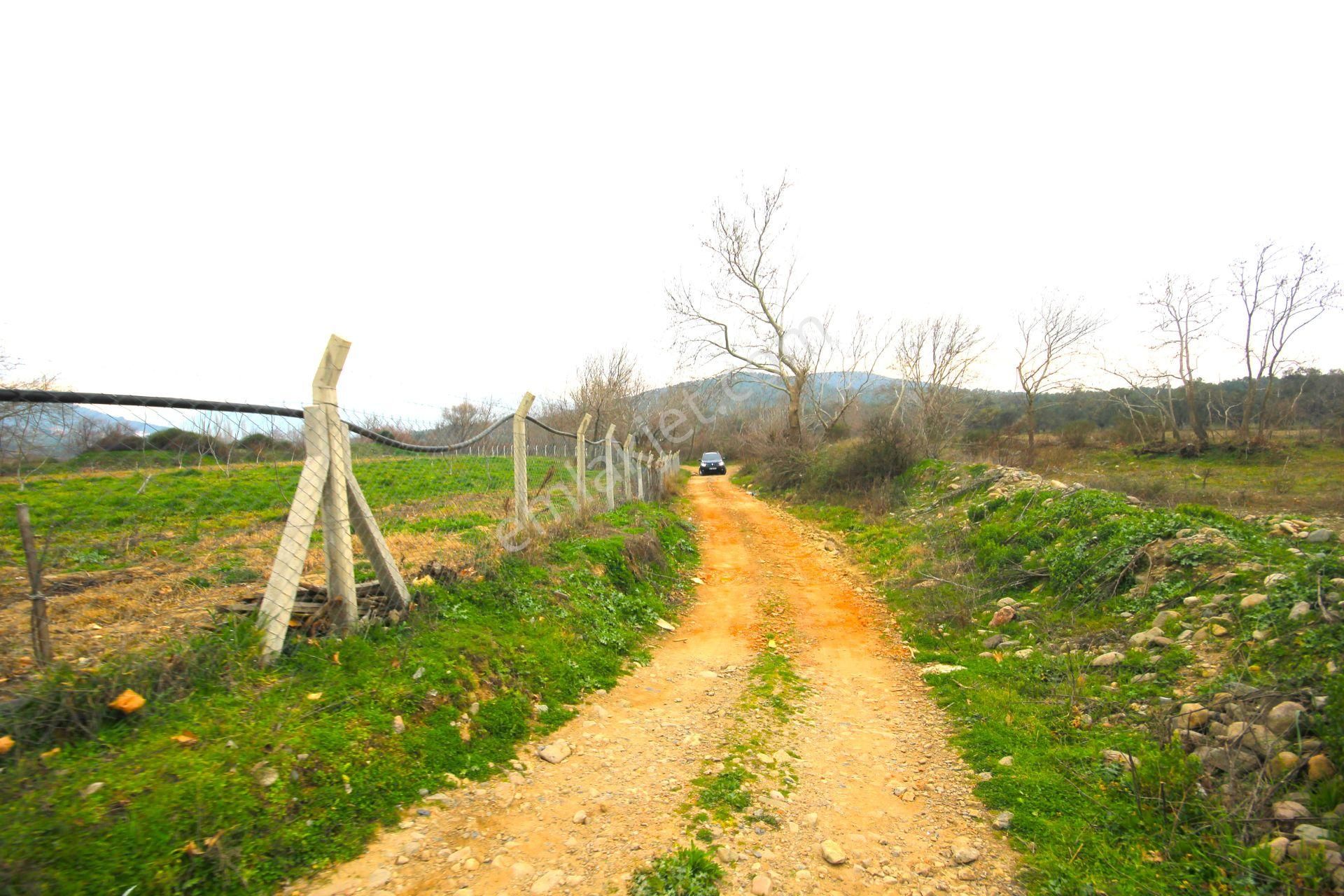 🟥tek Yetkili Aktiften 6800 M2 Kadastrol Yolu Olan Satılık Bahçe - Görsel 21