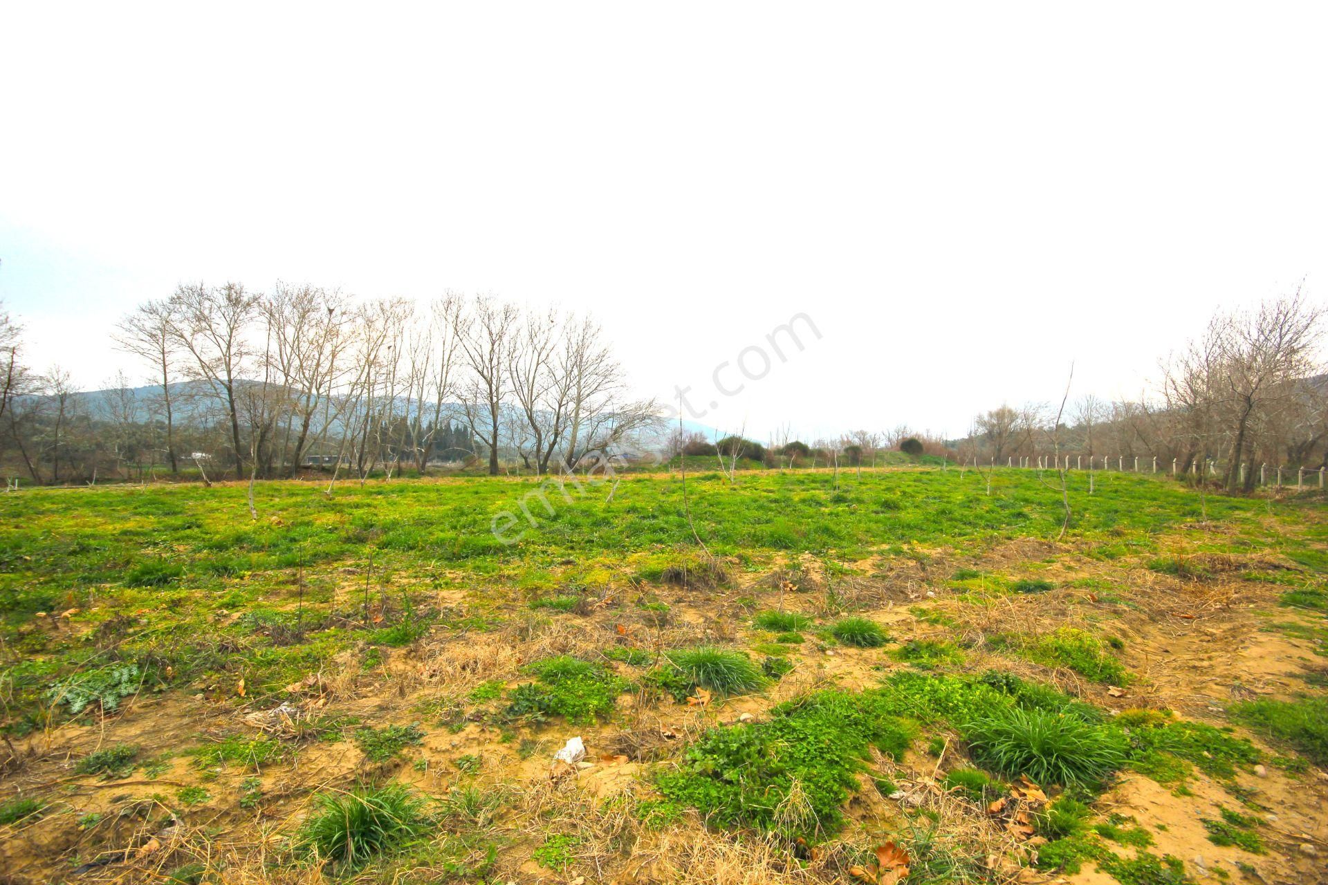 🟥tek Yetkili Aktiften 6800 M2 Kadastrol Yolu Olan Satılık Bahçe - Görsel 17