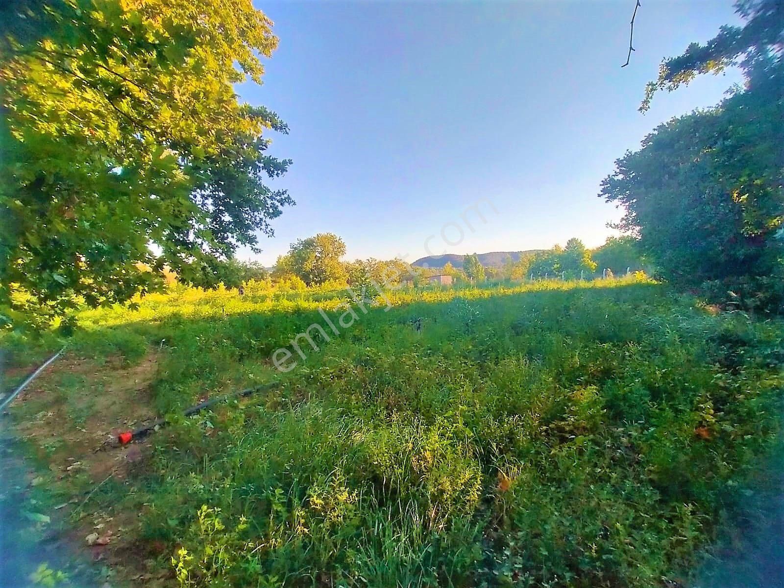 🟥tek Yetkili Aktiften 6800 M2 Kadastrol Yolu Olan Satılık Bahçe - Görsel 25