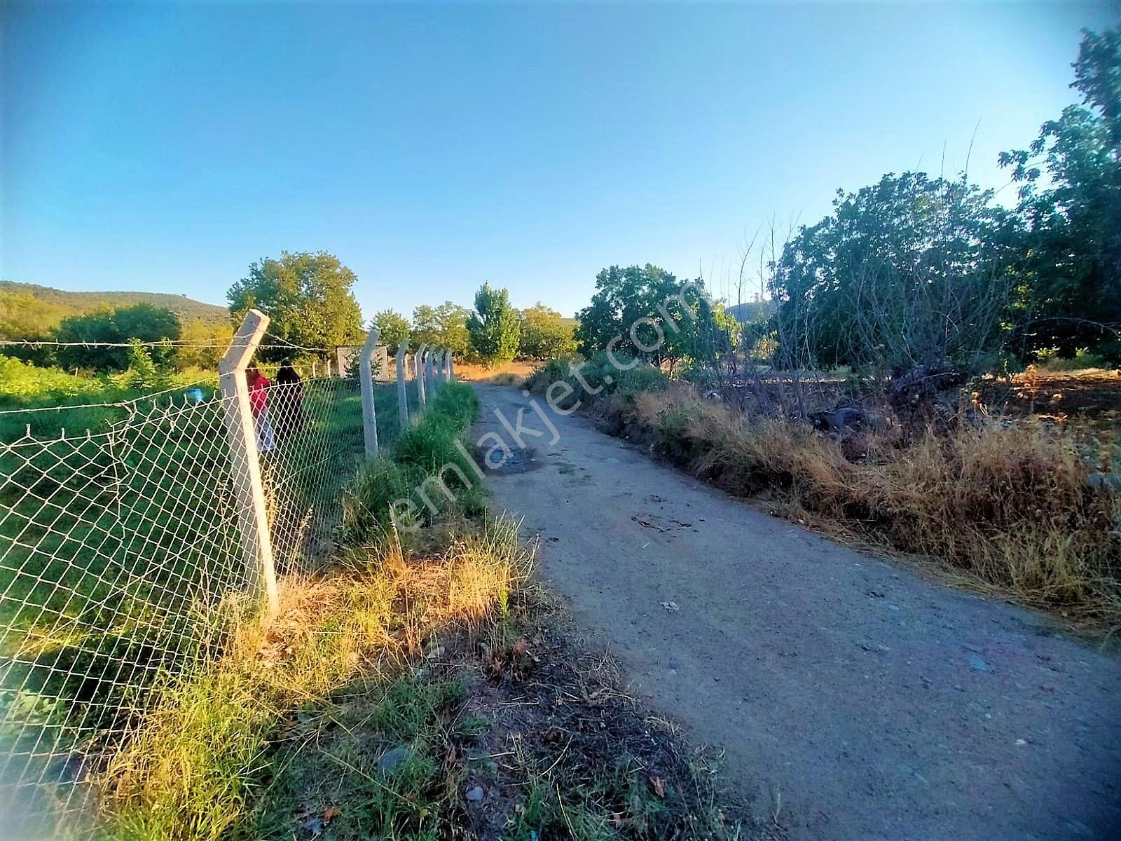 🟥tek Yetkili Aktiften 6800 M2 Kadastrol Yolu Olan Satılık Bahçe - Görsel 22