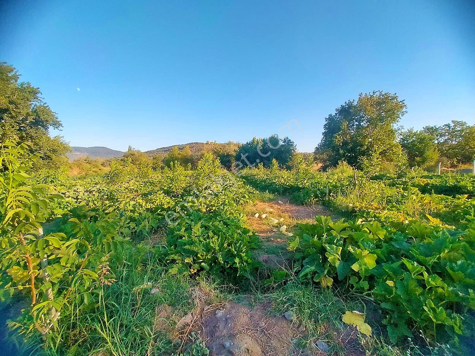 🟥tek Yetkili Aktiften 6800 M2 Kadastrol Yolu Olan Satılık Bahçe - Görsel 30