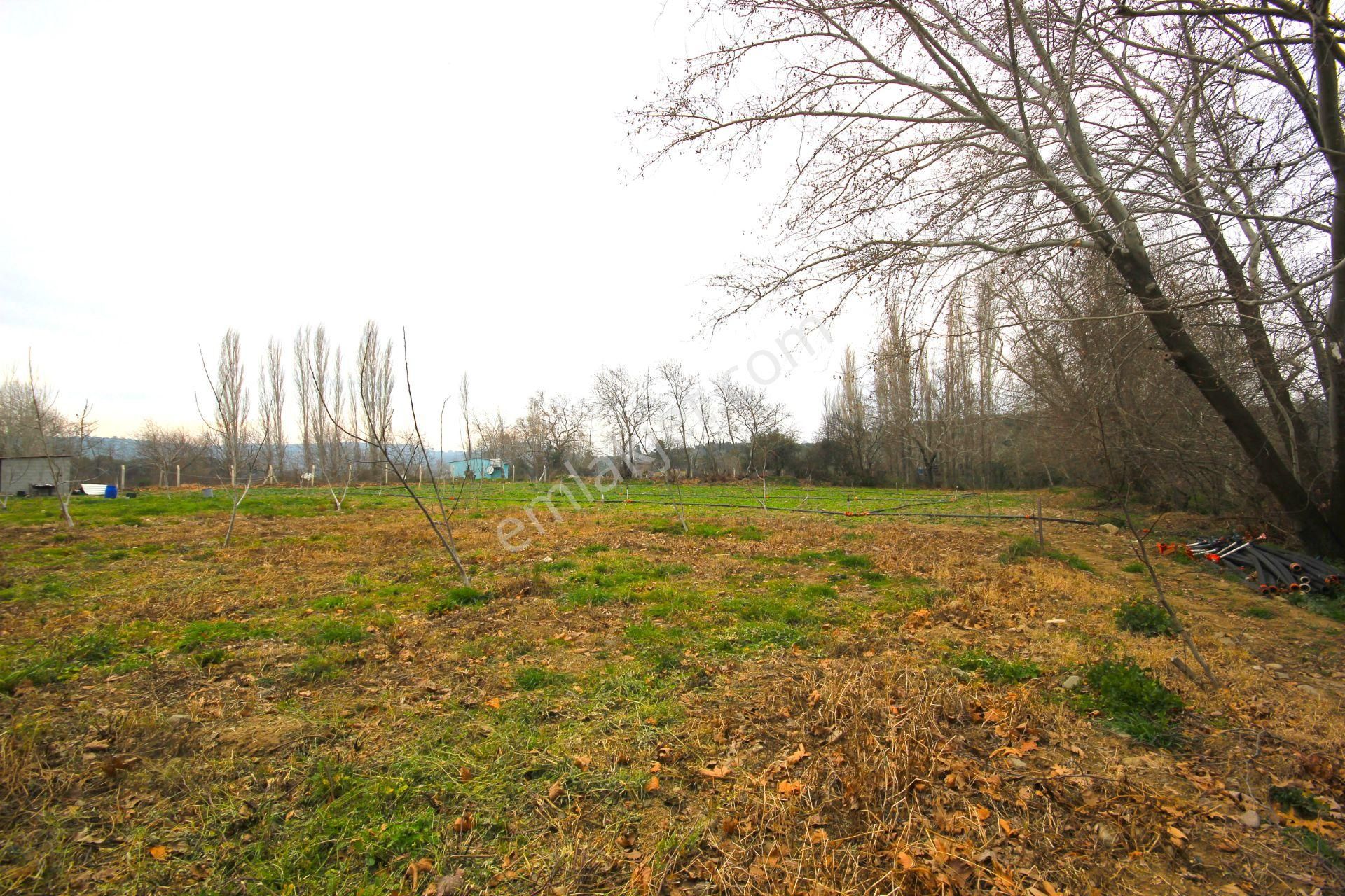 🟥tek Yetkili Aktiften 6800 M2 Kadastrol Yolu Olan Satılık Bahçe - Görsel 9