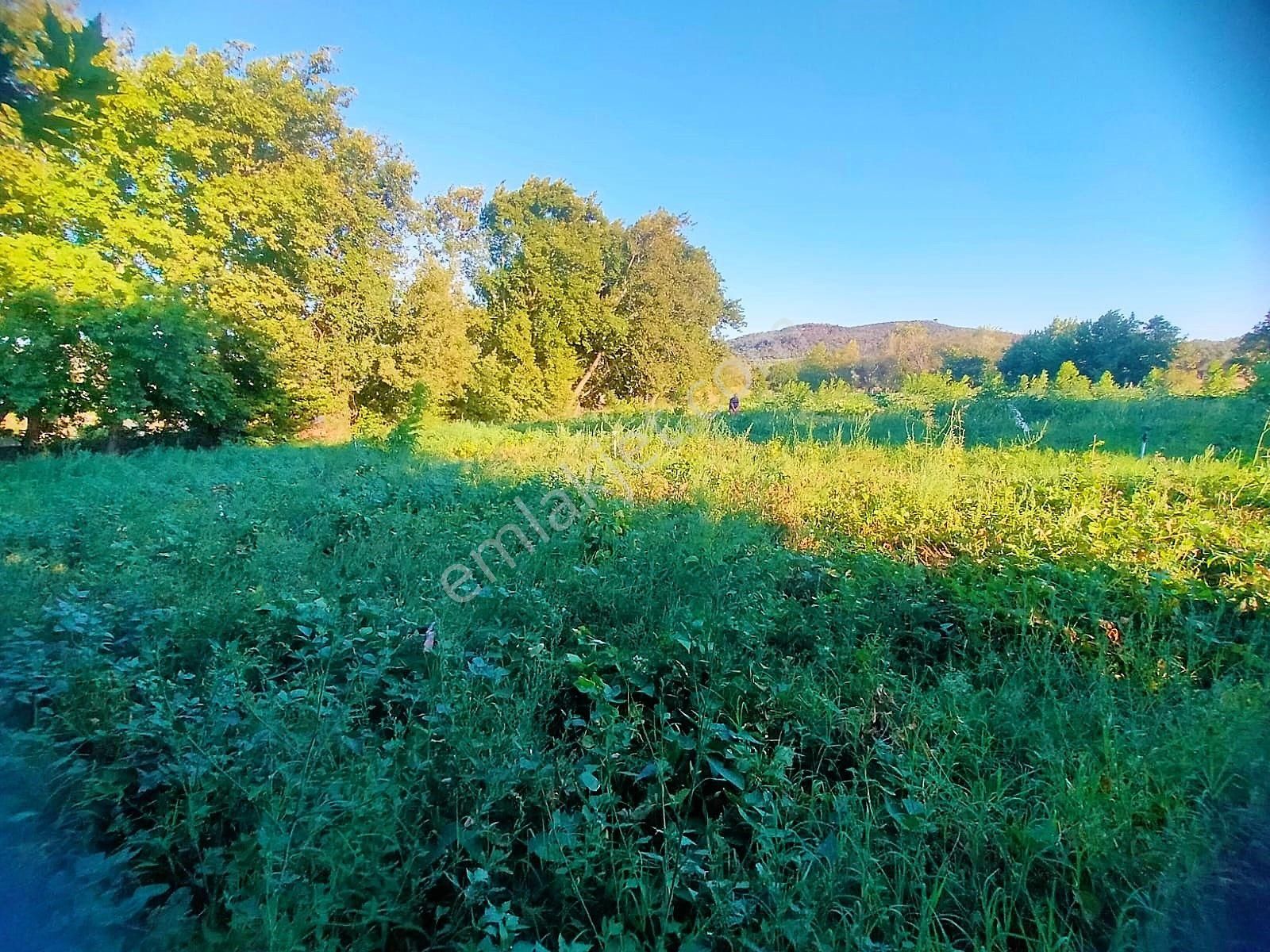 🟥tek Yetkili Aktiften 6800 M2 Kadastrol Yolu Olan Satılık Bahçe - Görsel 26