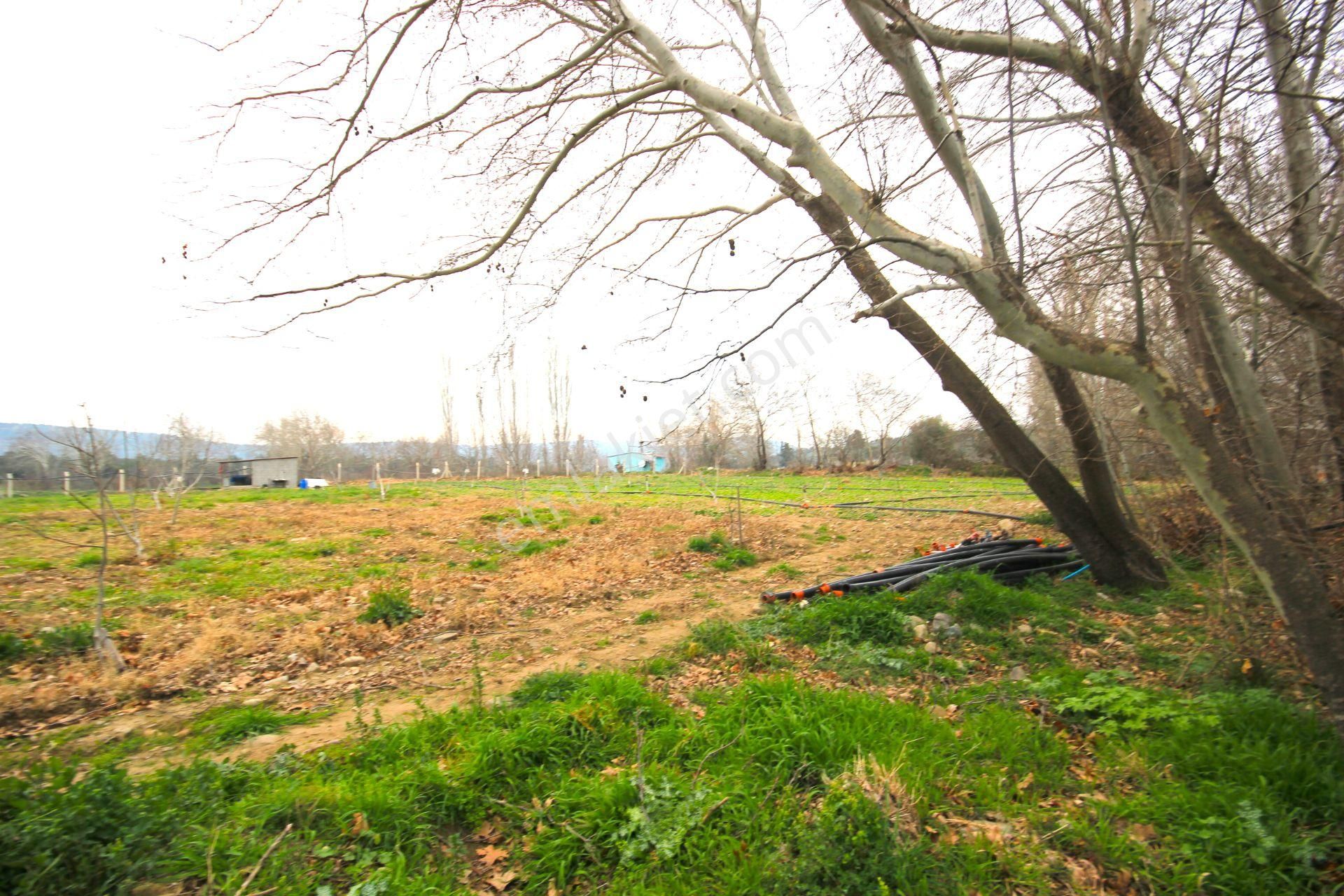 🟥tek Yetkili Aktiften 6800 M2 Kadastrol Yolu Olan Satılık Bahçe - Görsel 12