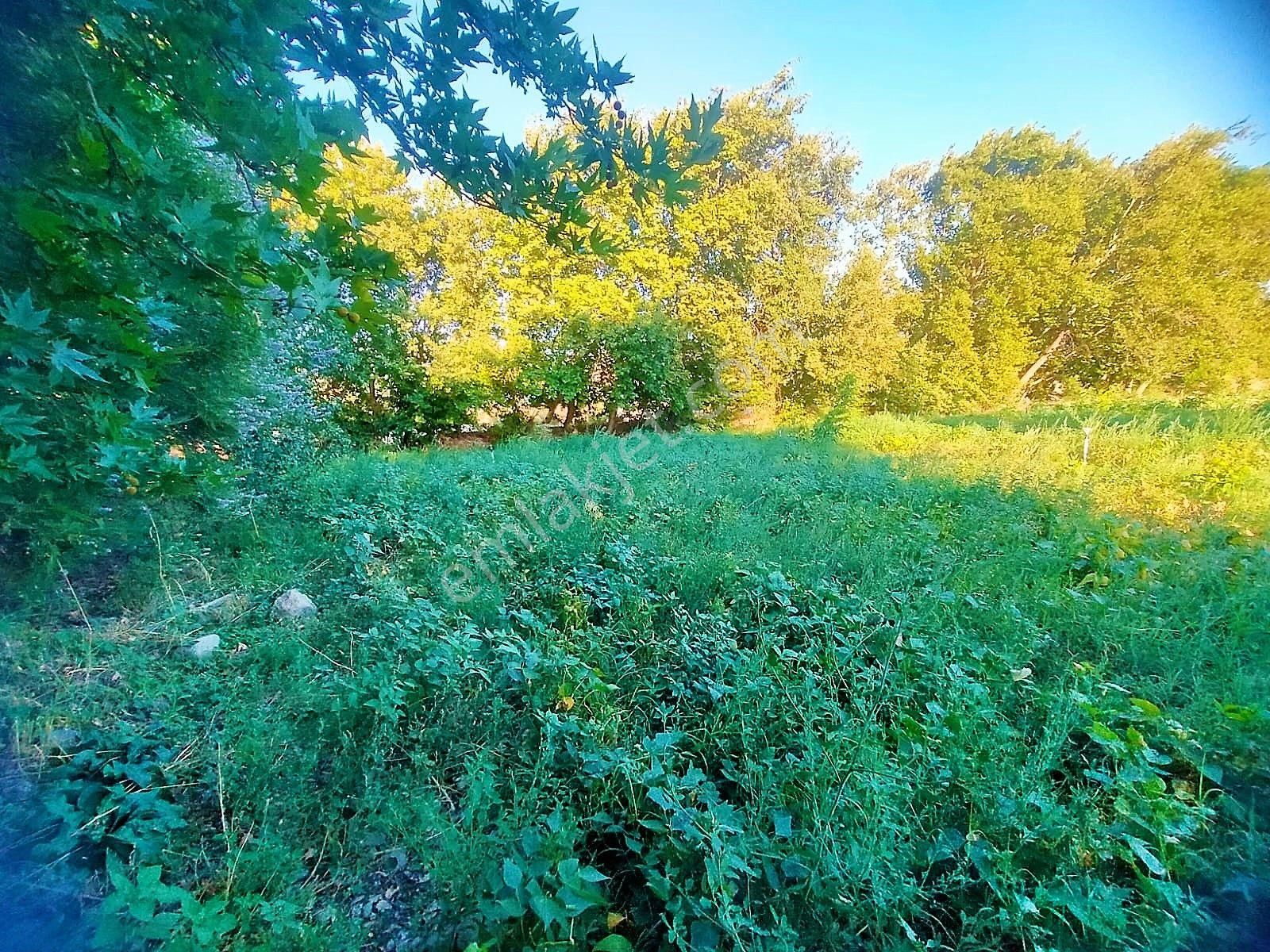 🟥tek Yetkili Aktiften 6800 M2 Kadastrol Yolu Olan Satılık Bahçe - Görsel 23