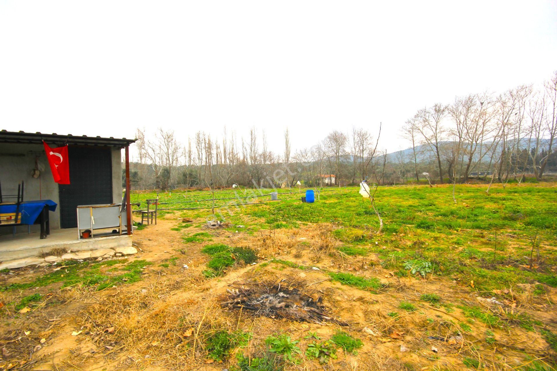 🟥tek Yetkili Aktiften 6800 M2 Kadastrol Yolu Olan Satılık Bahçe - Görsel 16