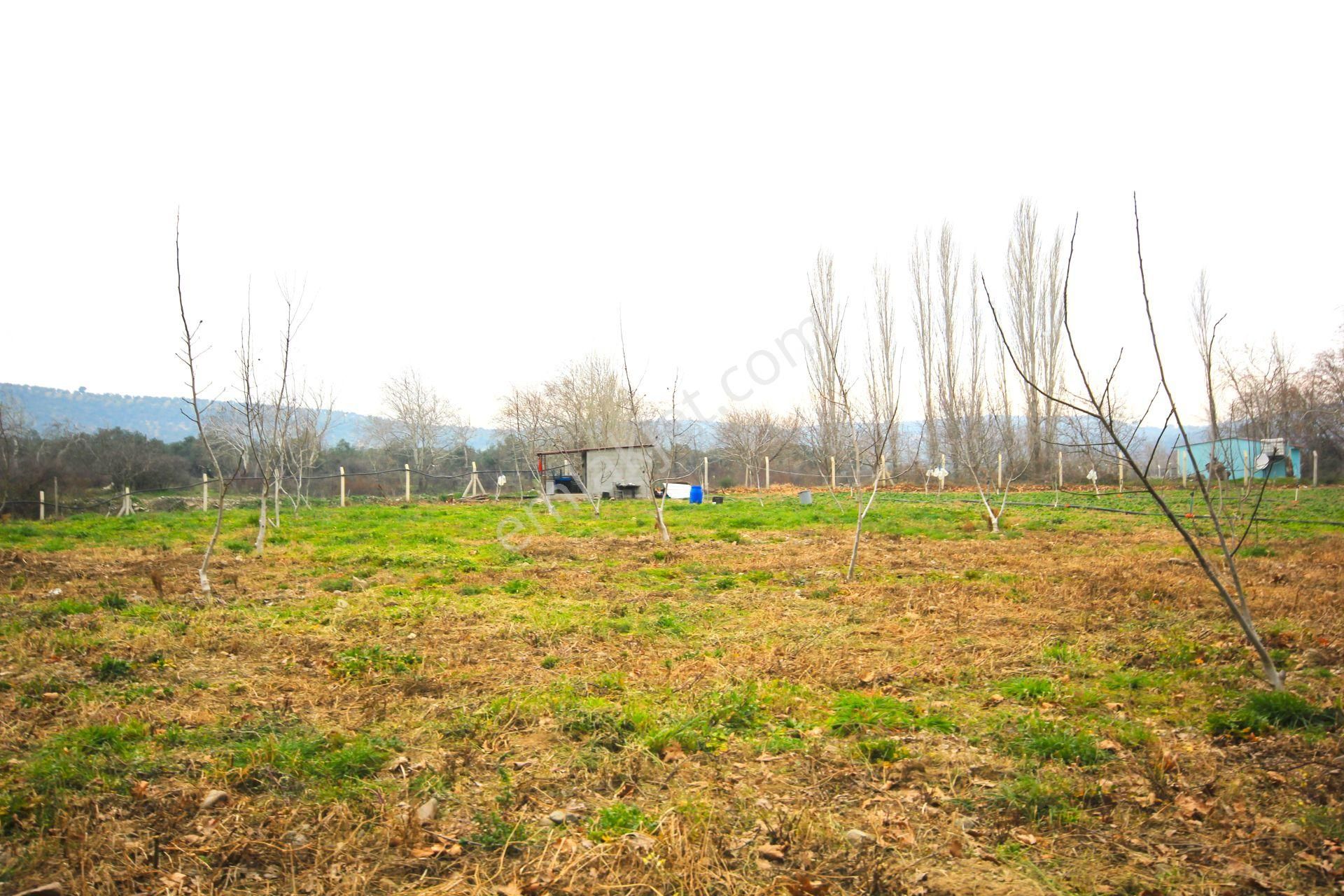 🟥tek Yetkili Aktiften 6800 M2 Kadastrol Yolu Olan Satılık Bahçe - Görsel 11