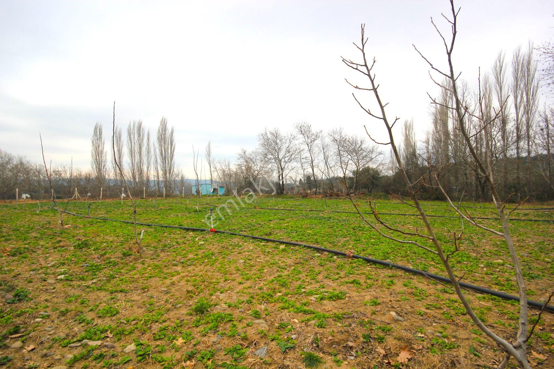 🟥tek Yetkili Aktiften 6800 M2 Kadastrol Yolu Olan Satılık Bahçe - Görsel 13